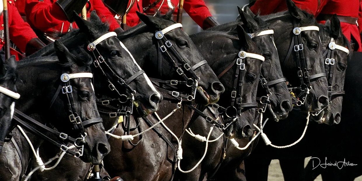 RCMP riding "The Spoke."