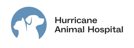 Hurricane Animal Hospital