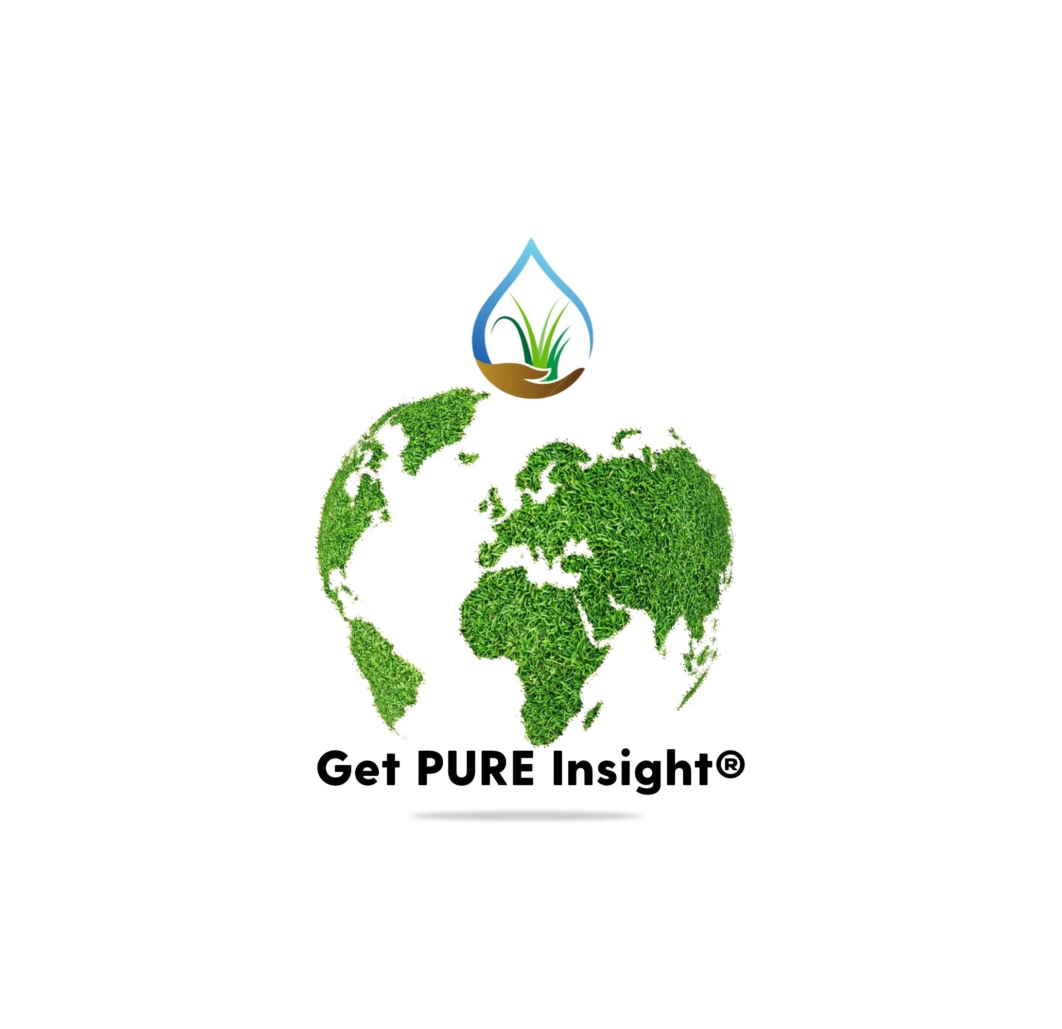 Pure Insight Logo Contact Us - Pure Insight Contact Form