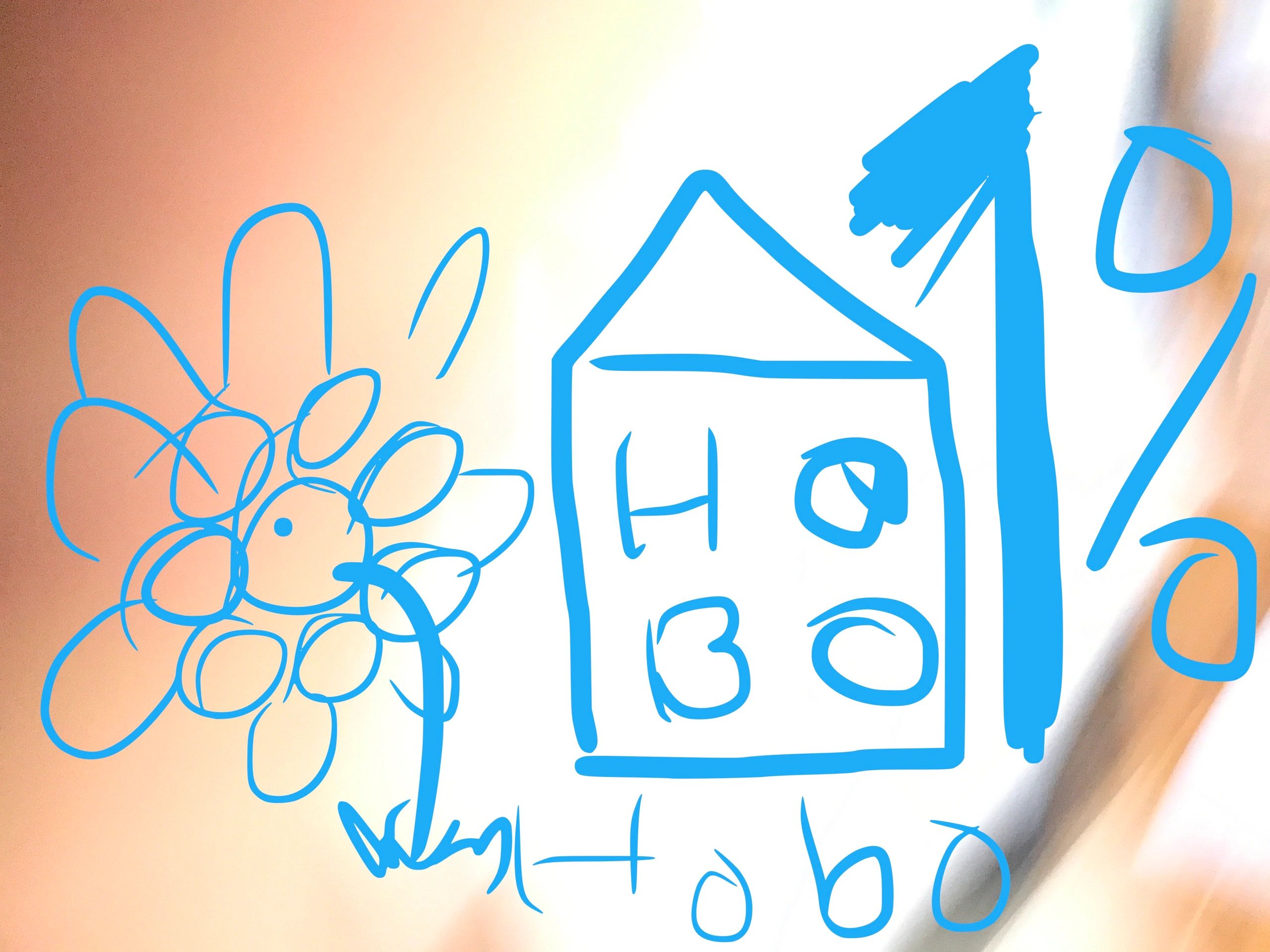 Hobo Project A Non Profit