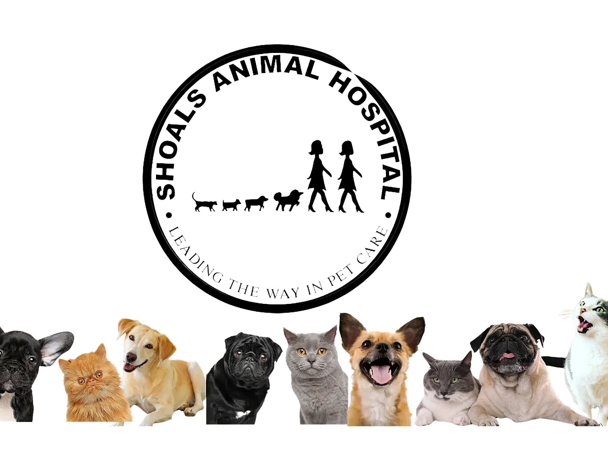 Shoals Animal Hospital - Veterinarian - Muscle Shoals, Alabama