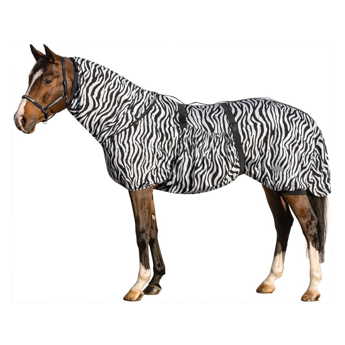 Re Horse Queensland Itch Protection Rug