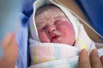 Vernix caseosa as film on newborn