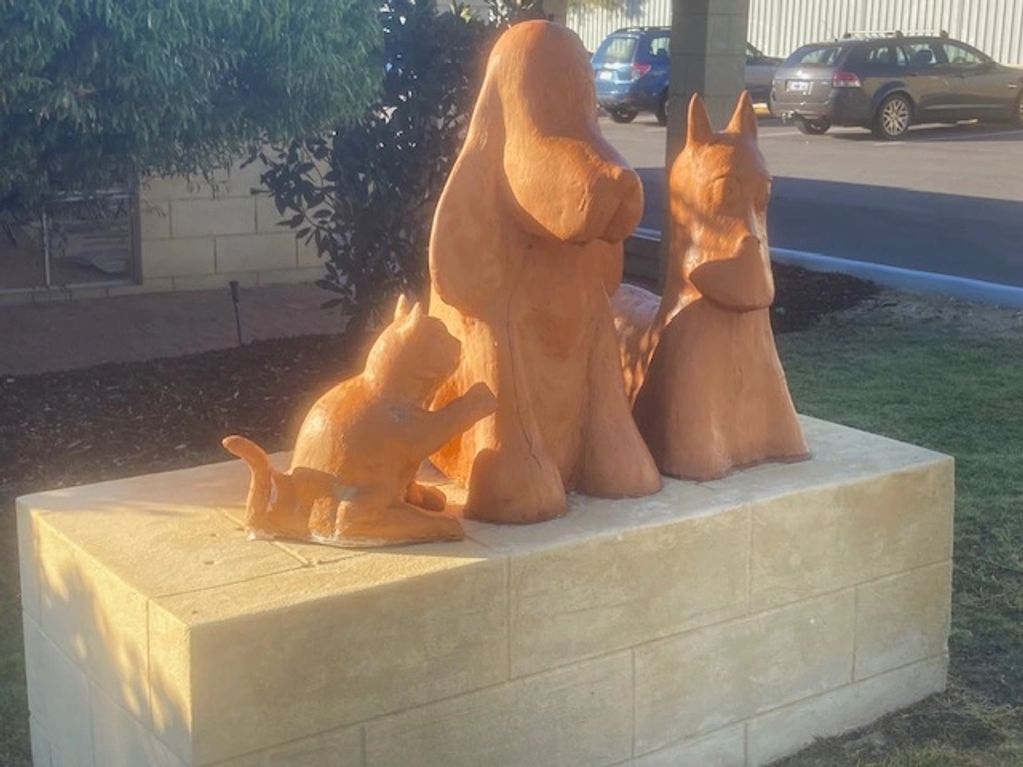 2 dogs and a cat with a bandage on