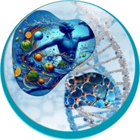 Hydrate Flow IV Therapy and Integrative Wellness