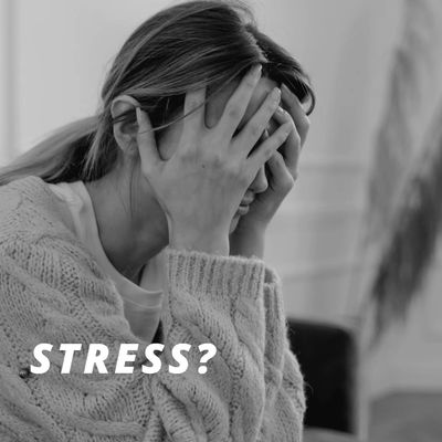 Stress gestresst sein berufliche Überforderung Alltagsstress Trauma Stress Burnout lösen nach Verena