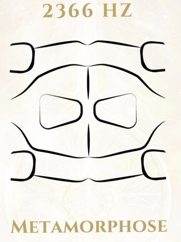 Abstract symmetrical black lines with '2366 HZ' and 'Metamorphose' text.