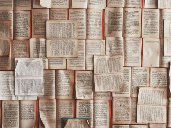 Lots of open books
Photo by Patrick Tomasso on Unsplash
