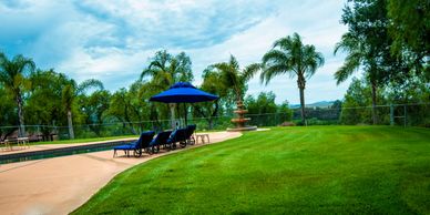 pool deck wedding, ocean view wedding, malibu lights, cafe lights, micro wedding, elopement