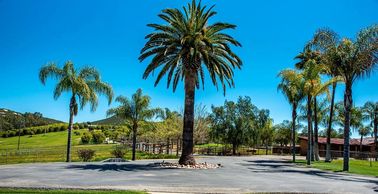 wedding and ceremony location, sunset wedding, winery