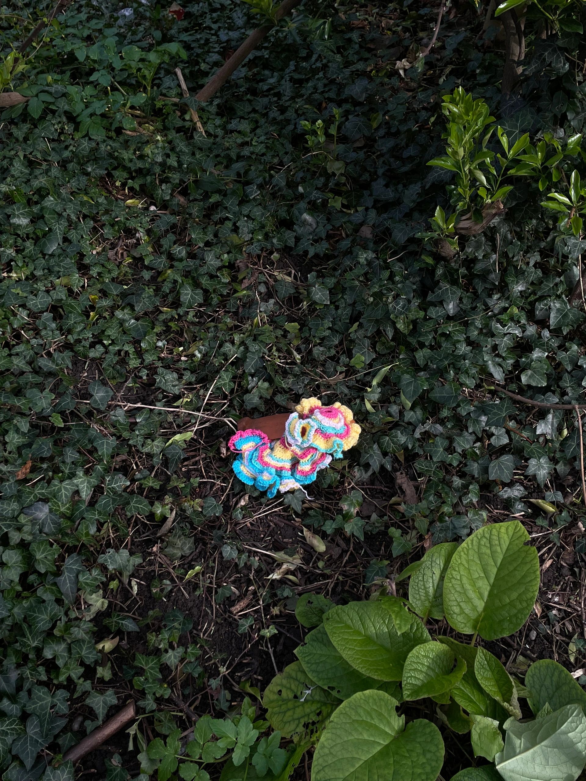 Hear the Flowers Sing Hannah Wilkinson