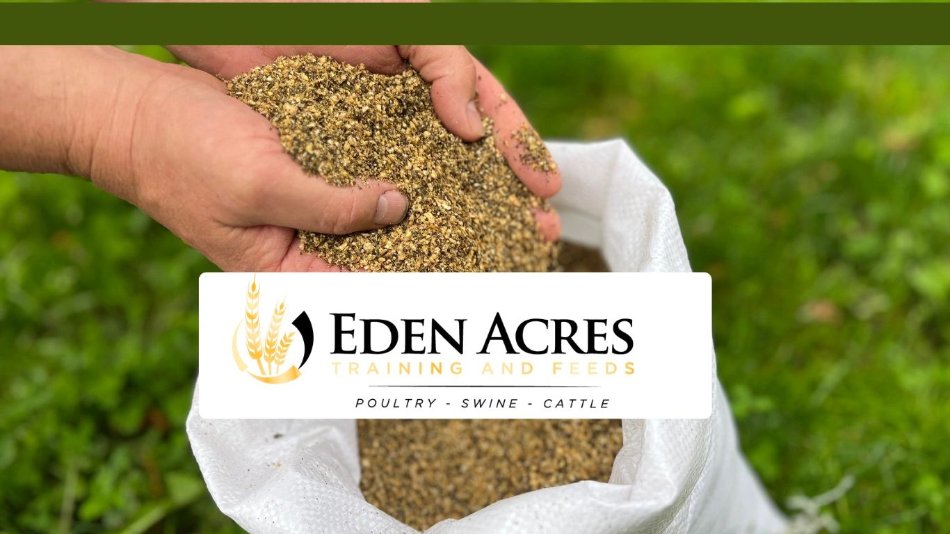 bulk-chicken-feed-eden-acres-feed-store
