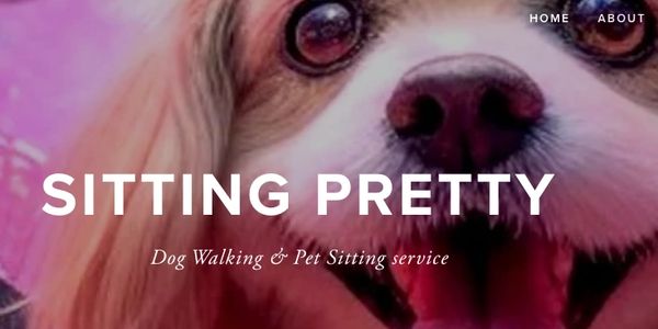Close-up of a happy dog with text promoting dog walking and pet sitting service.