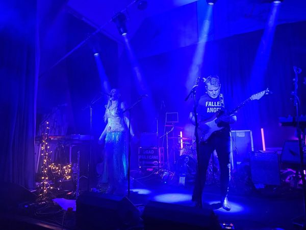 Whitstable based cover band, The Dead Pelicans