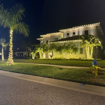 Warm white Roofline, palm tree, and magnolia wrapping in Rocky point. 