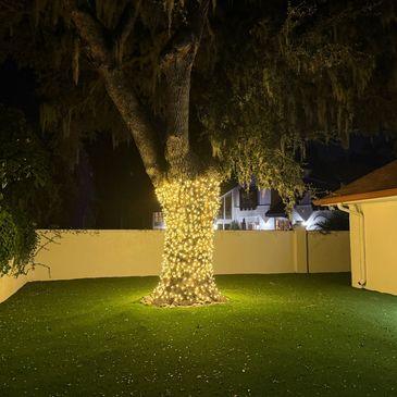 Warm White mini light Oak tree trunk wrap lighting. 