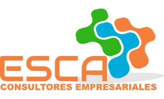 ESCA CONSULTORES 