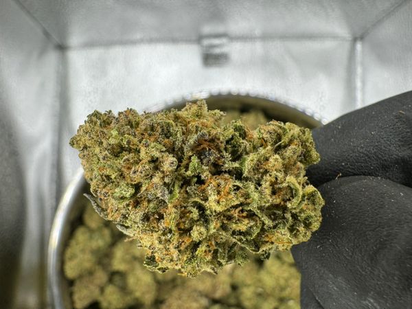 Motavation Dispensary - McAllen, Texas