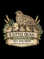 5littlequailhomestead.com