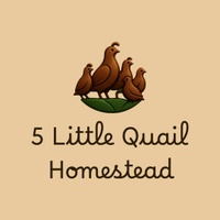 5littlequailhomestead.com