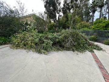 Yard Waste Removal in Camarillo, CA.