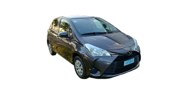 Hatchback model 