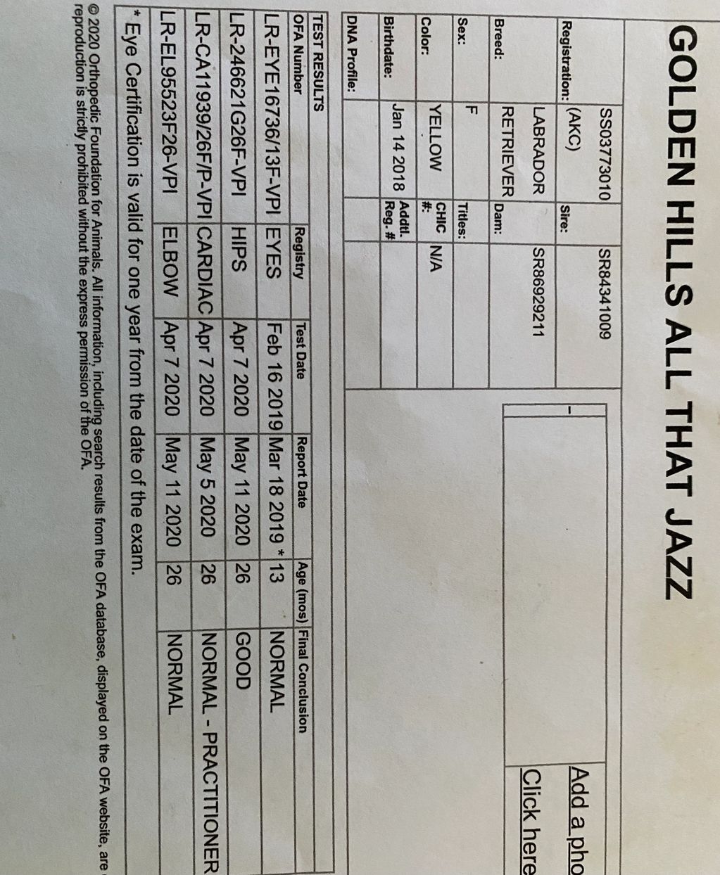 Tay’s official OFA Database. 
