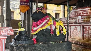 Nandi bull statue decorated with flowers at a temple.