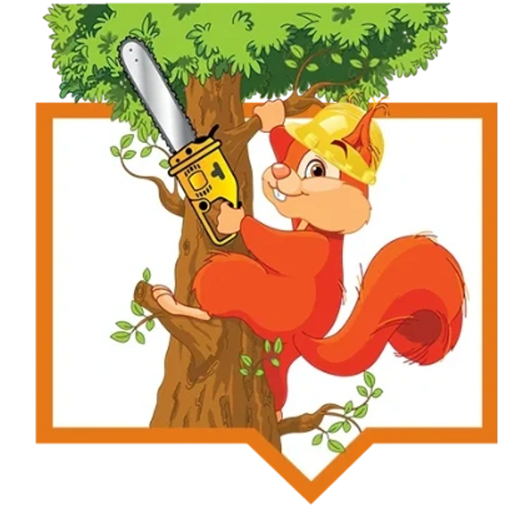 Tree Service Expertise