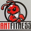 Ant Fitness