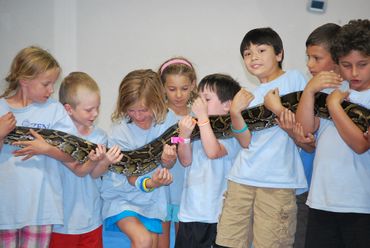 Reptiles Rock visit to Zen Summer Camp in Ottawa