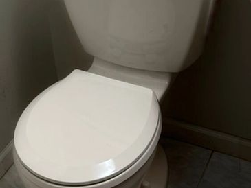 Toilet Repair