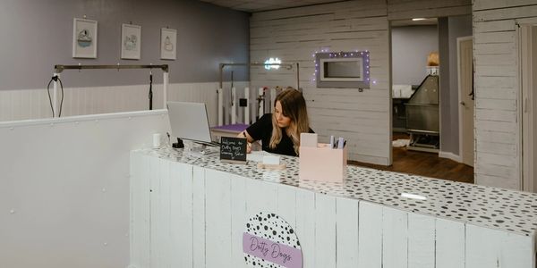 Dog grooming Hexham
