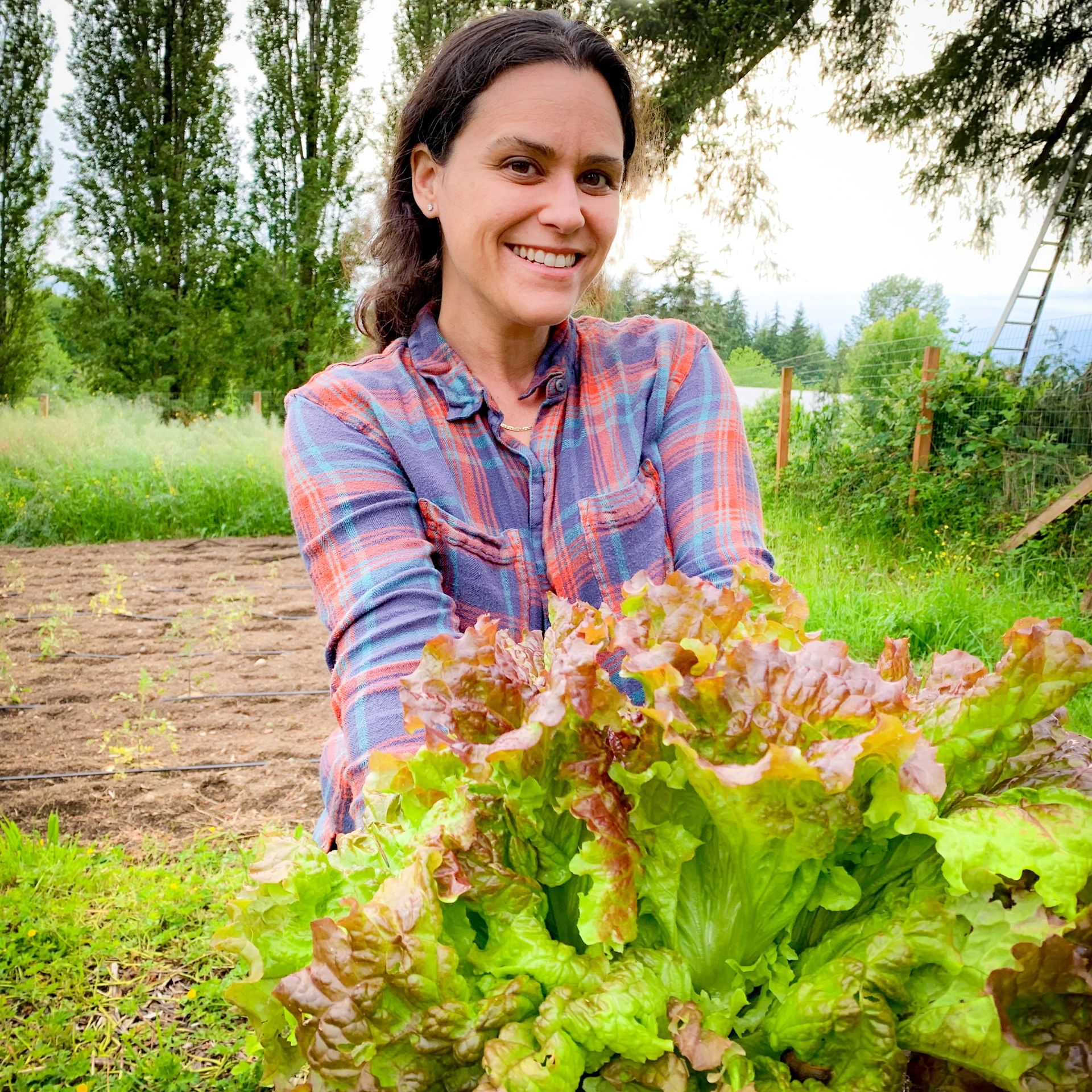 Hobart Farms Nursery Plant Nursery Maple Valley, Washington