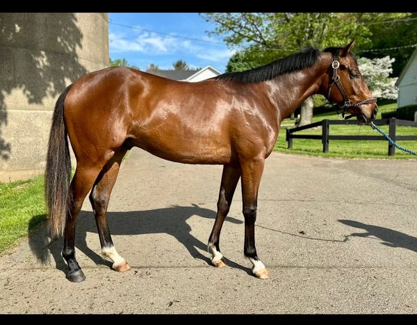 Jimmy's Page
Jimmy Creed-Malibu Beach (Tapit)