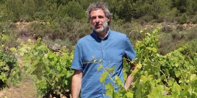 Baldovar 923 - Nito Alegre