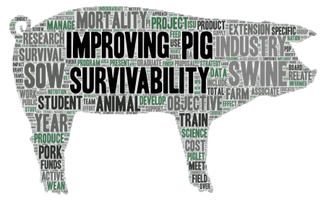 Welcome to the Improving Pig Survivability Project