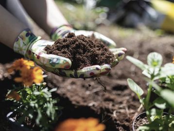 Hands holding rich soil with gardening gloves.