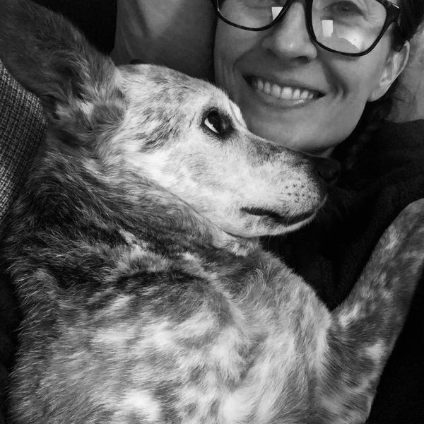 Animal Communication