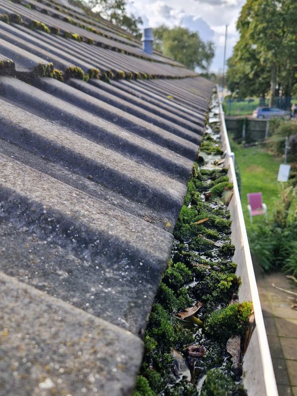 Gutter cleaning services and gutter repairs in Nottingham and