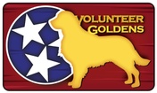 Volunteer Goldens