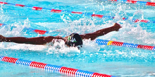 image swimming butterfly