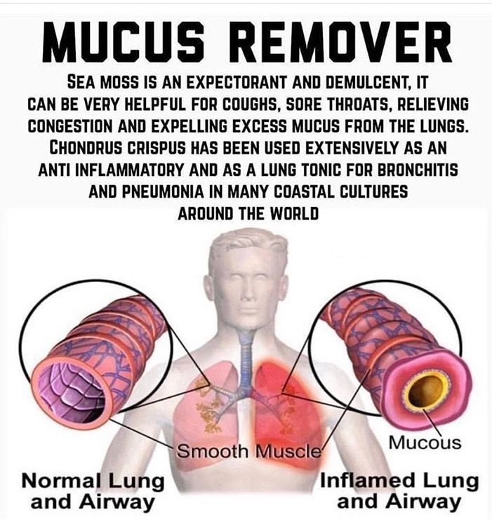 Sea Moss Mucus Reducer