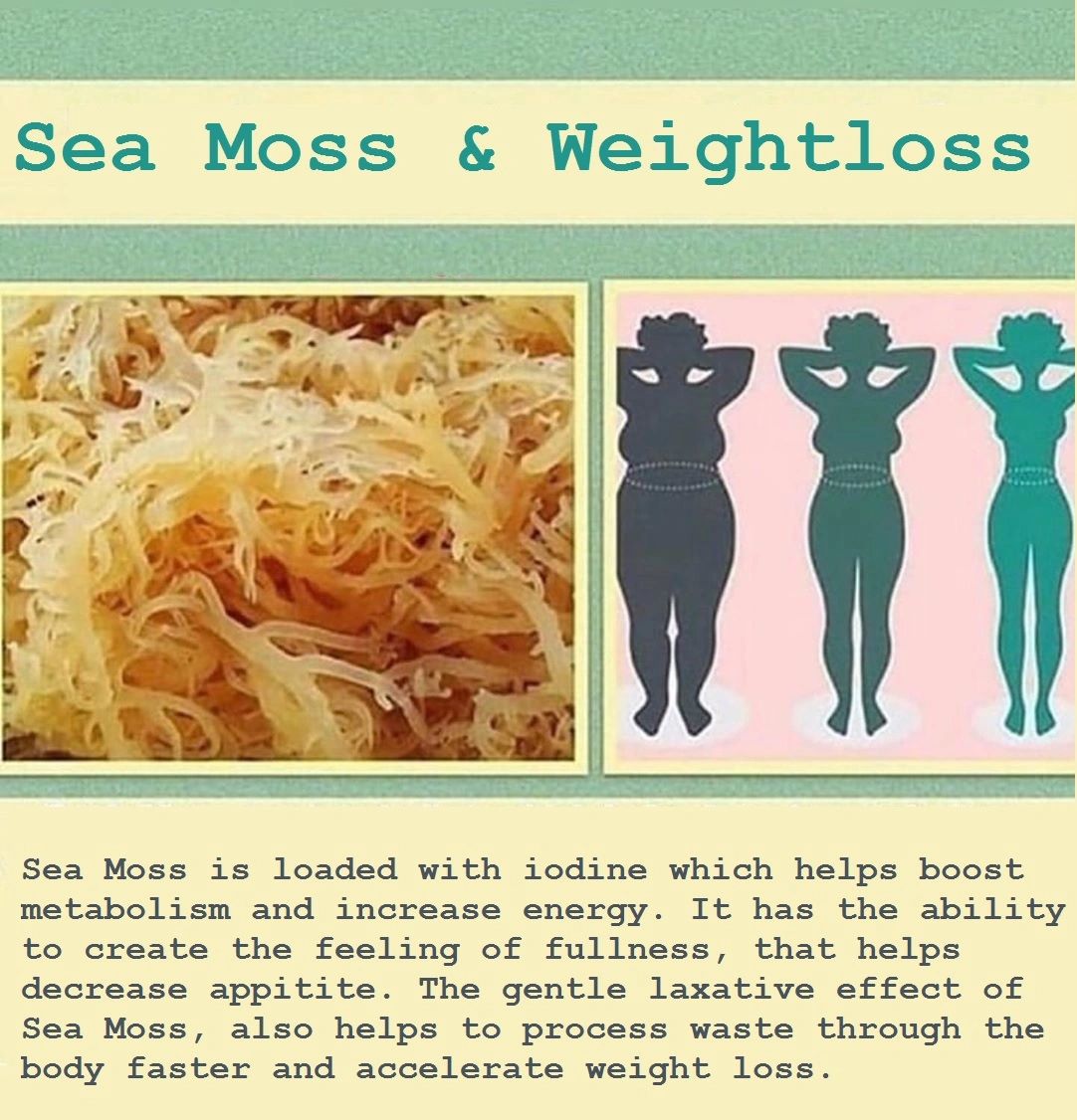 Sea Moss & Weightloss