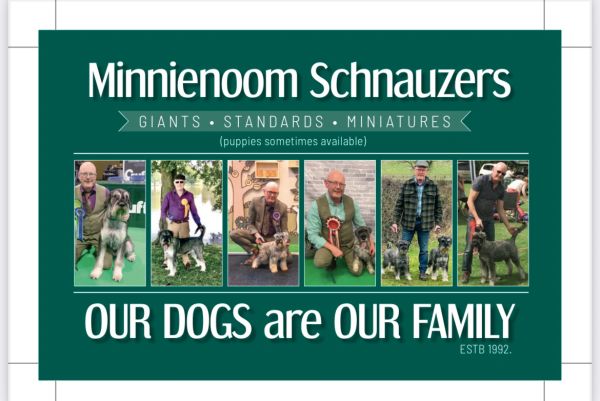 Minnienoom Schnauzers promotion showing owners with their dogs.