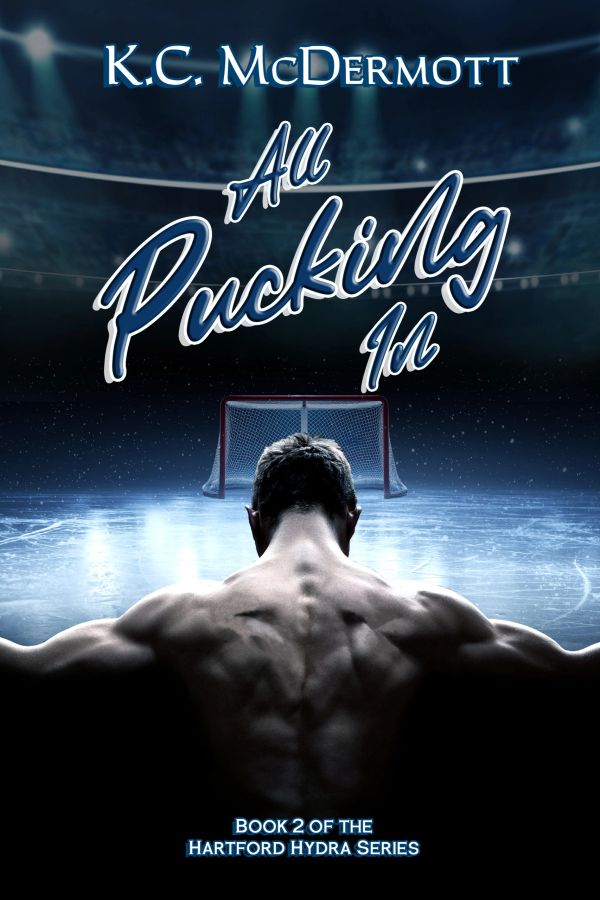 Hockey-themed book cover with muscular figure and goal.