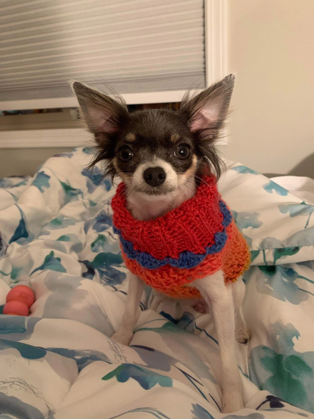 Dog sweaters