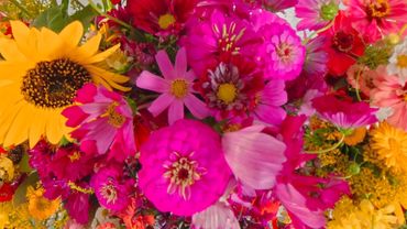 A vibrant bouquet of mixed colorful flowers including sunflowers and pink blossoms.