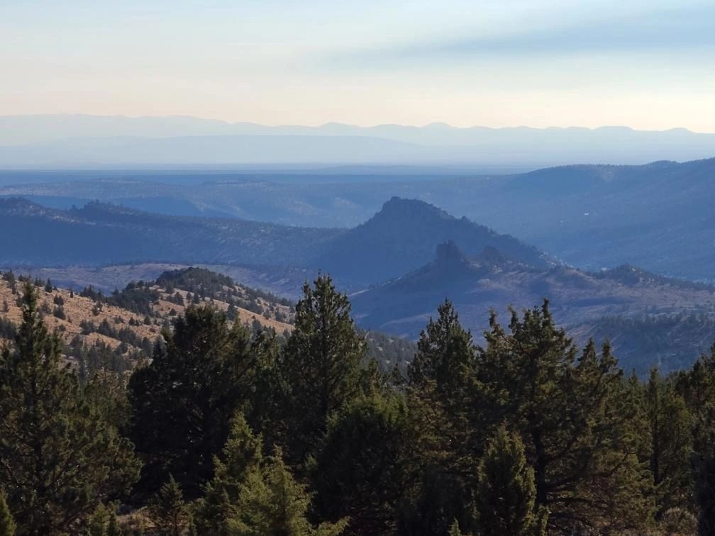 Real Estate in Crook County