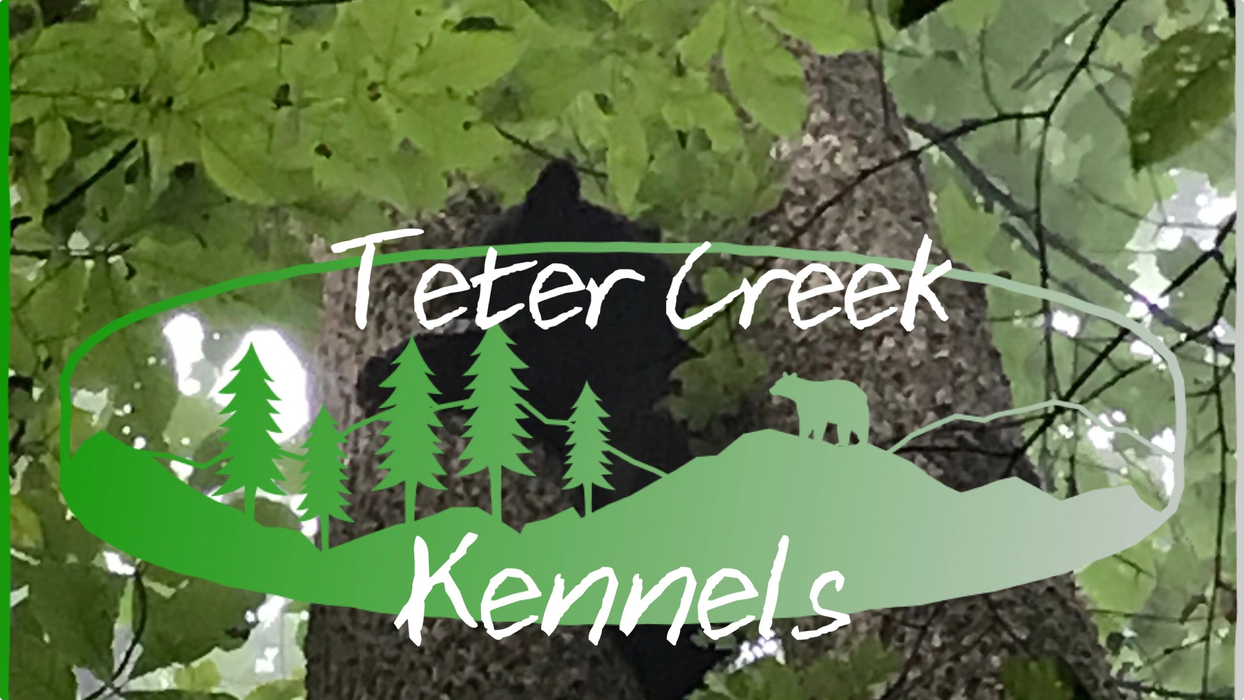Teter Creek Kennels